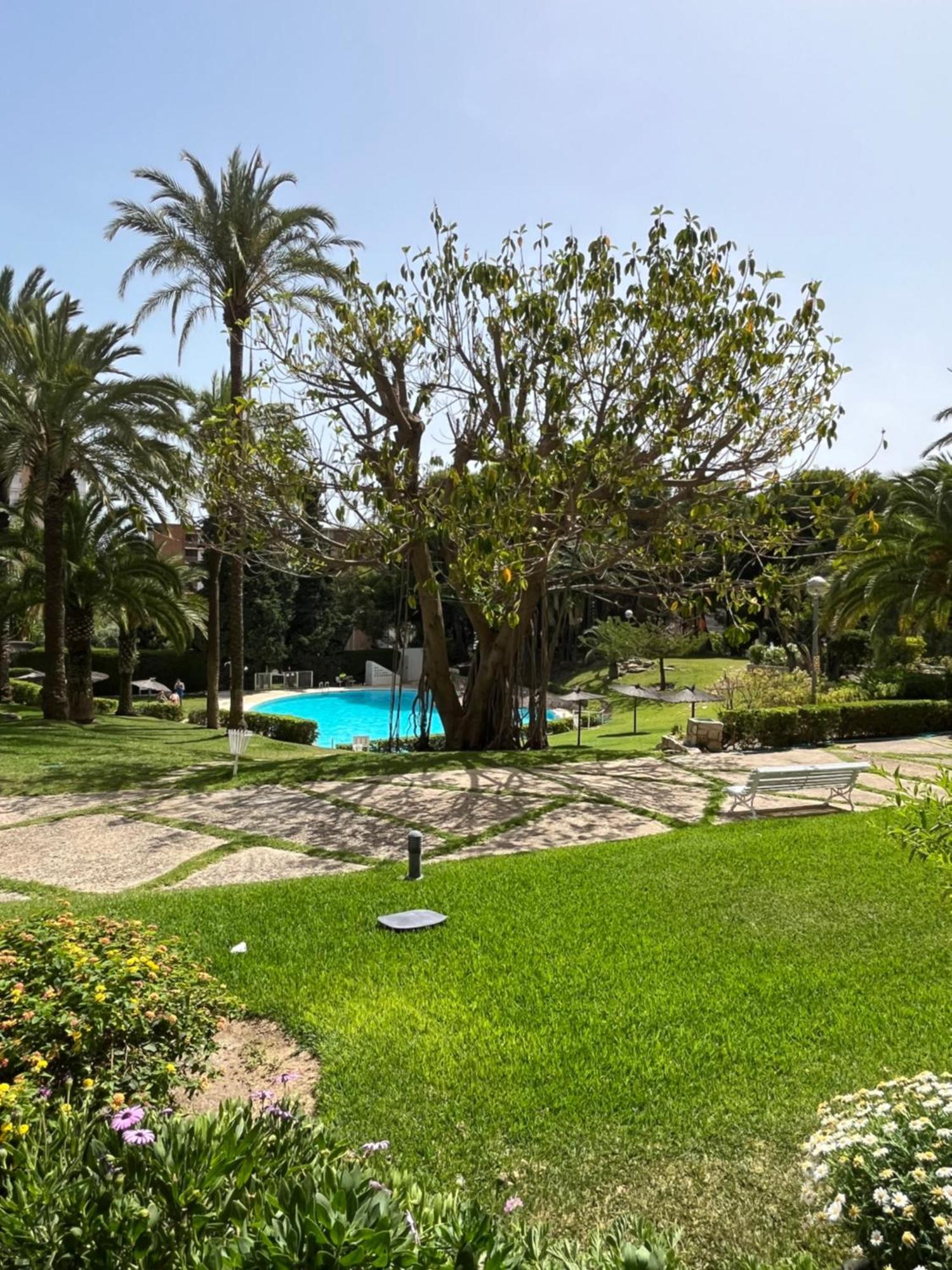 Parque La Chicharra Near Alicante And Beach Exterior photo